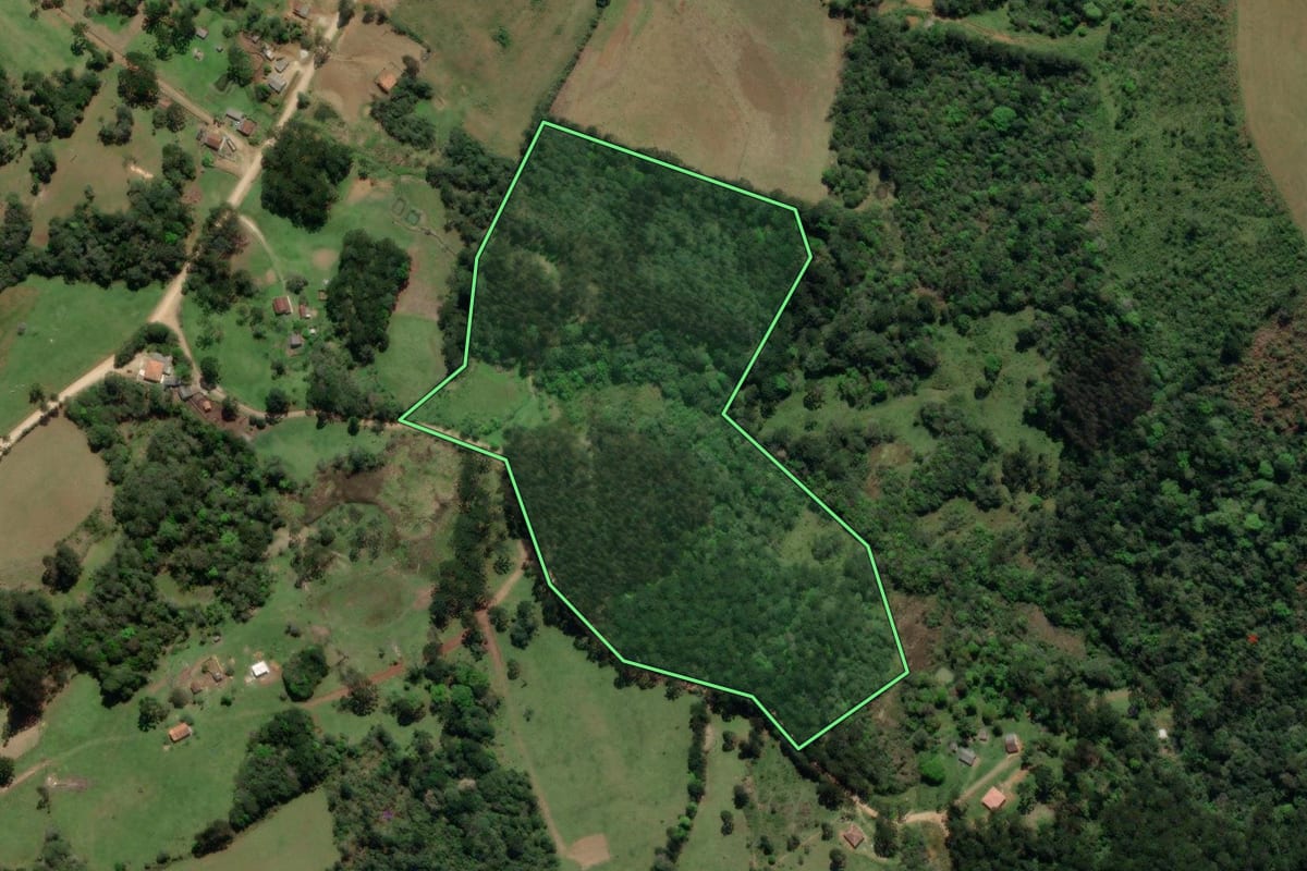 Imagem de satélite do imóvel rural em Castro (PR), com o contorno declarado no CAR desenhado por cima.