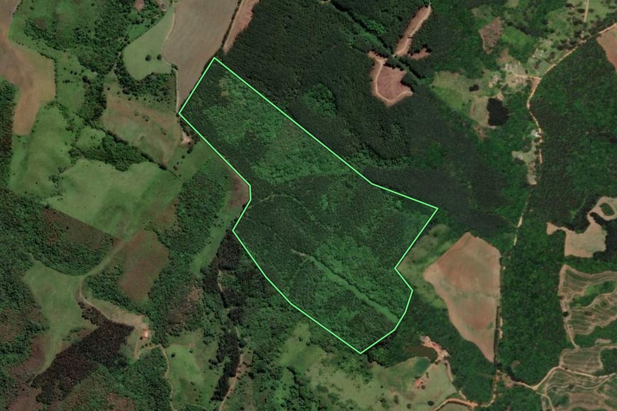 Imagem de satélite do imóvel rural em Castro (PR), com o contorno declarado no CAR desenhado por cima.