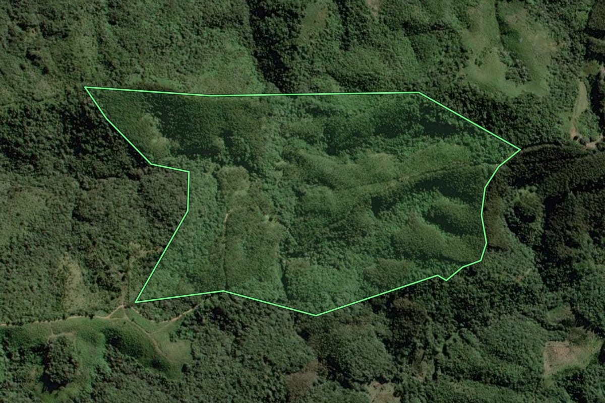 Imagem de satélite do imóvel rural em Castro (PR), com o contorno declarado no CAR desenhado por cima.