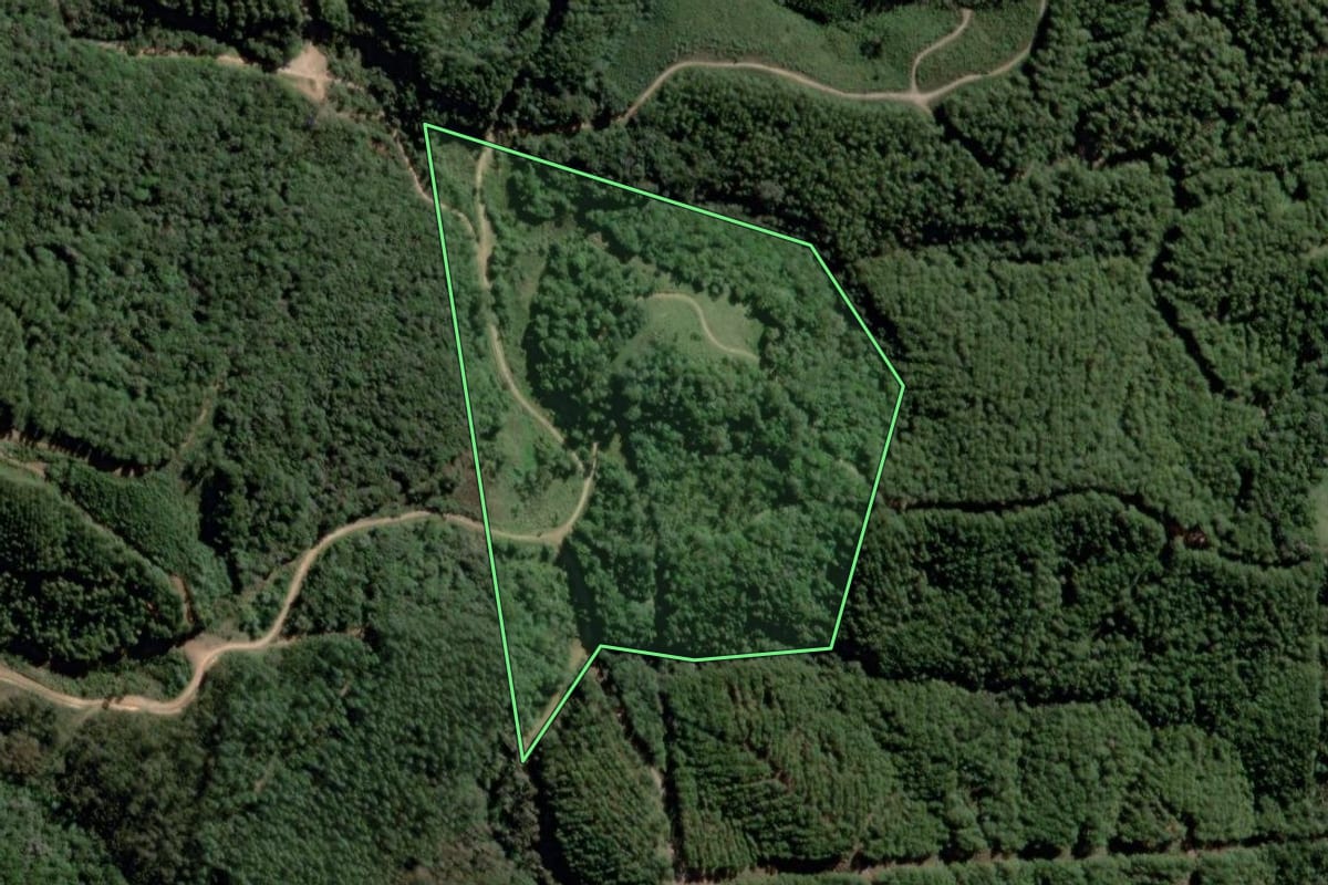 Imagem de satélite do imóvel rural em Castro (PR), com o contorno declarado no CAR desenhado por cima.