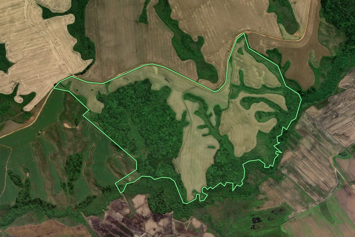Imagem de satélite do imóvel rural em Castro (PR), com o contorno declarado no CAR desenhado por cima.