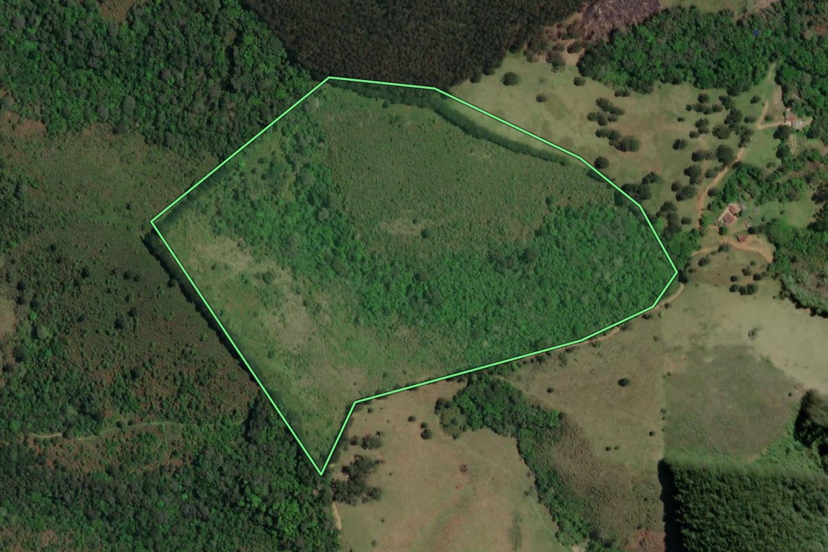 Imagem de satélite do imóvel rural em Castro (PR), com o contorno declarado no CAR desenhado por cima.