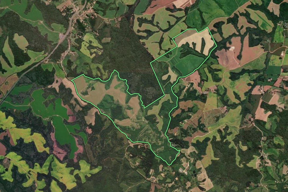 Imagem de satélite do imóvel rural em Castro (PR), com o contorno declarado no CAR desenhado por cima.
