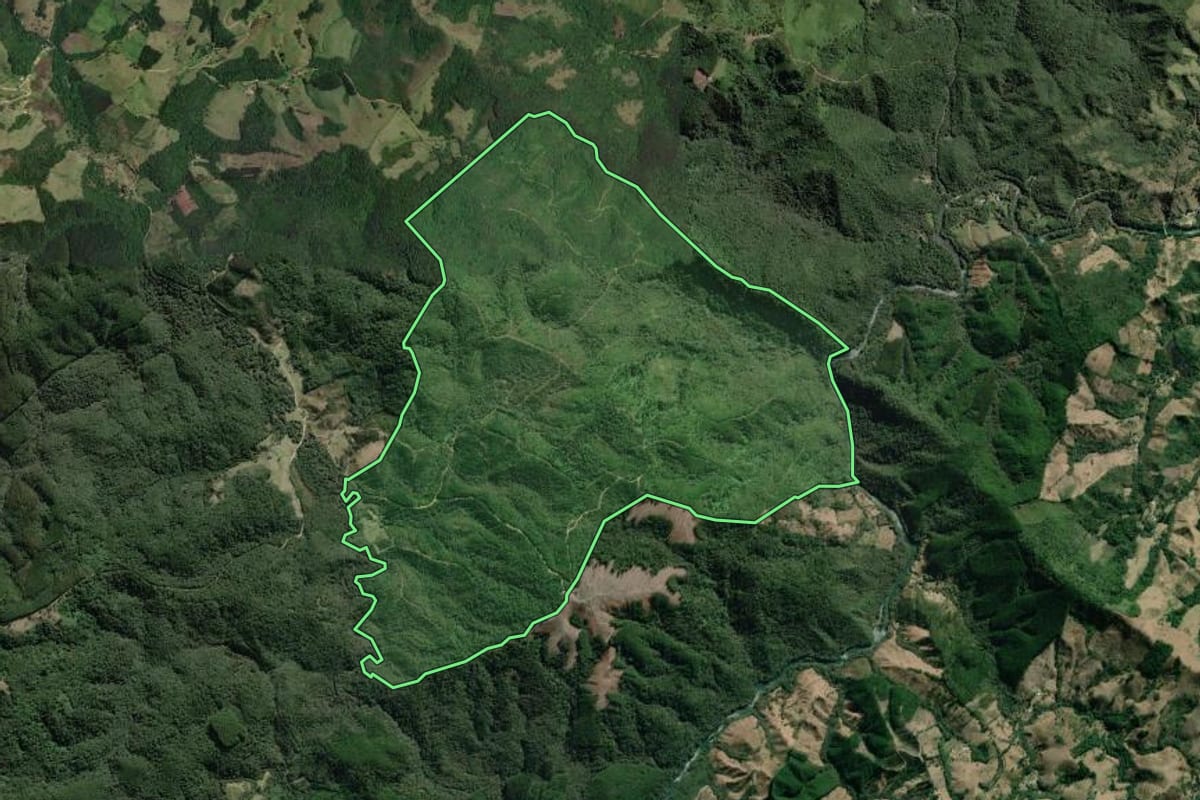 Imagem de satélite do imóvel rural em Castro (PR), com o contorno declarado no CAR desenhado por cima.
