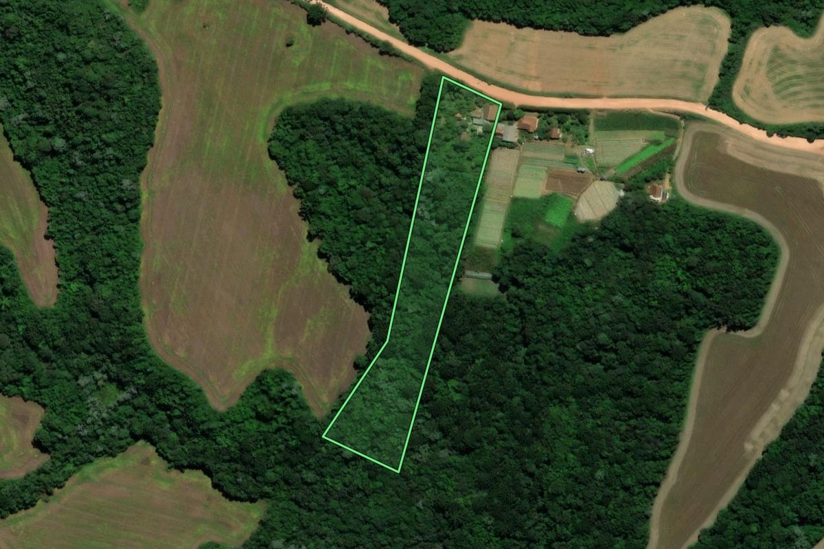 Imagem de satélite do imóvel rural em Castro (PR), com o contorno declarado no CAR desenhado por cima.