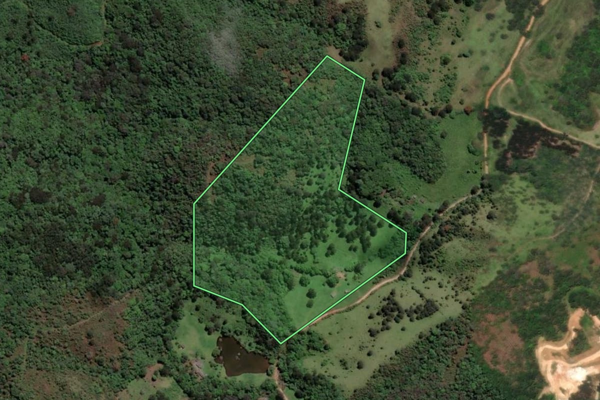 Imagem de satélite do imóvel rural em Castro (PR), com o contorno declarado no CAR desenhado por cima.