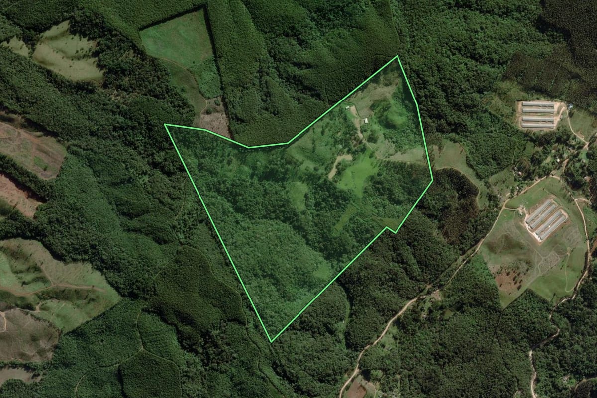 Imagem de satélite do imóvel rural em Castro (PR), com o contorno declarado no CAR desenhado por cima.