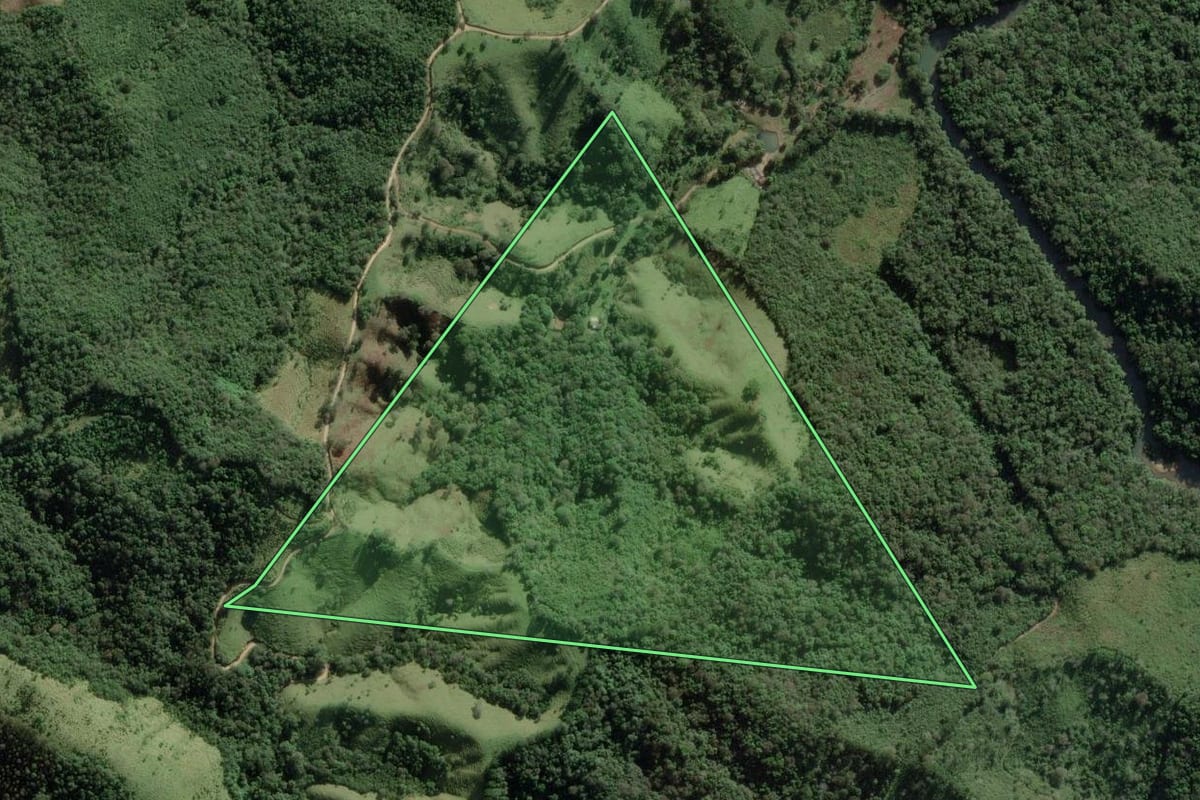 Imagem de satélite do imóvel rural em Castro (PR), com o contorno declarado no CAR desenhado por cima.