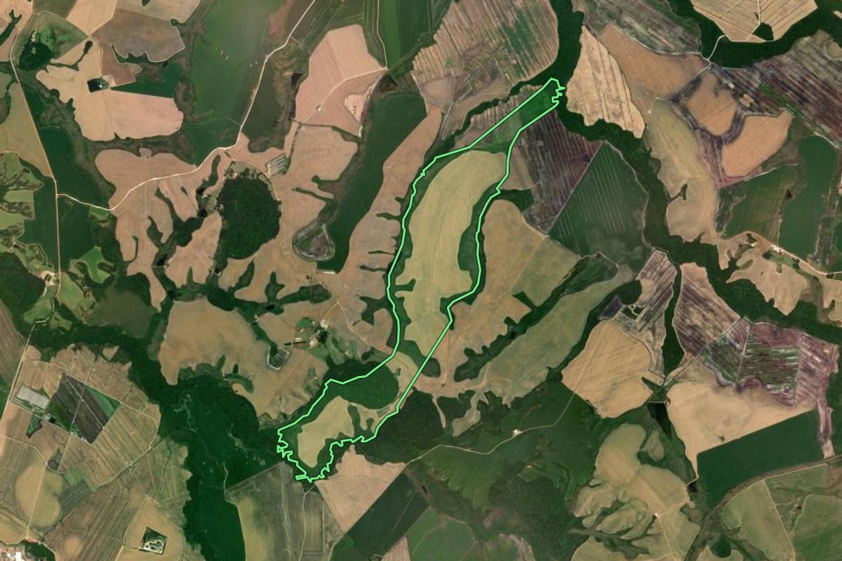 Imagem de satélite do imóvel rural em Castro (PR), com o contorno declarado no CAR desenhado por cima.