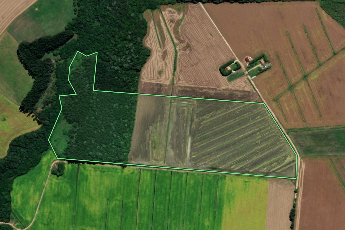 Imagem de satélite do imóvel rural em Castro (PR), com o contorno declarado no CAR desenhado por cima.