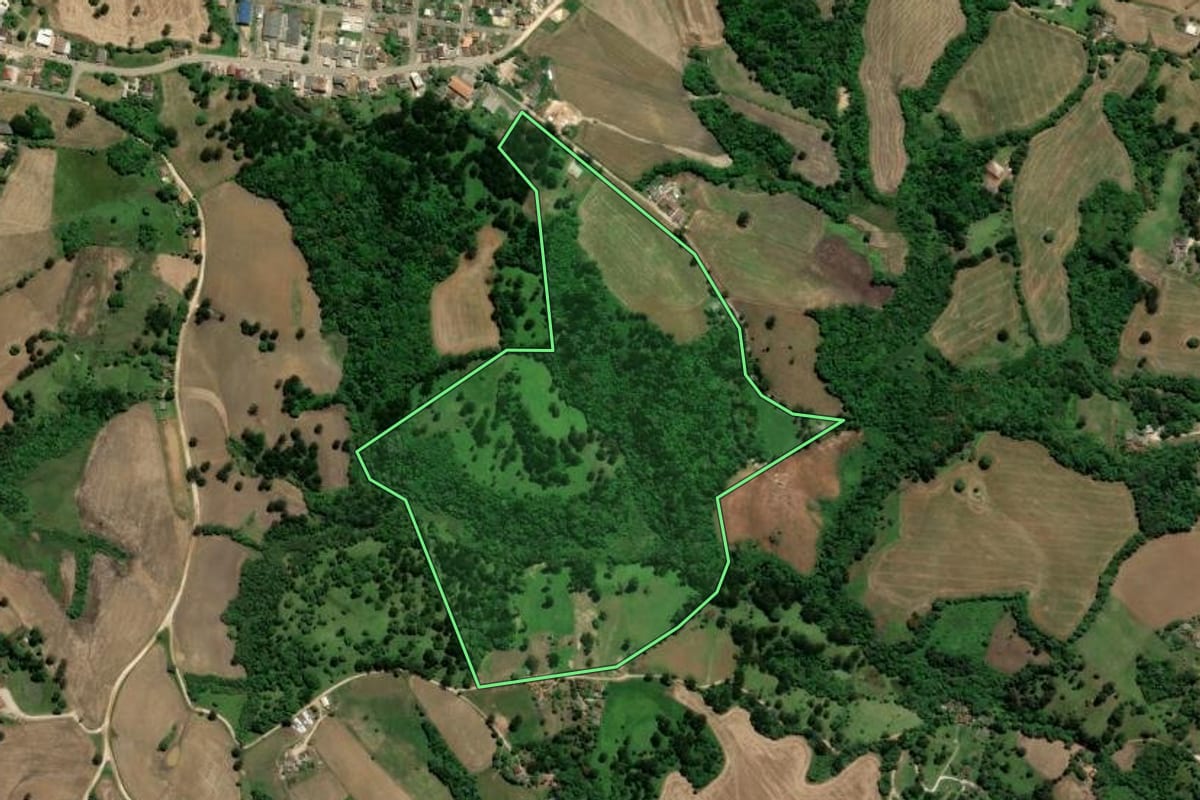 Imagem de satélite do imóvel rural em Castro (PR), com o contorno declarado no CAR desenhado por cima.