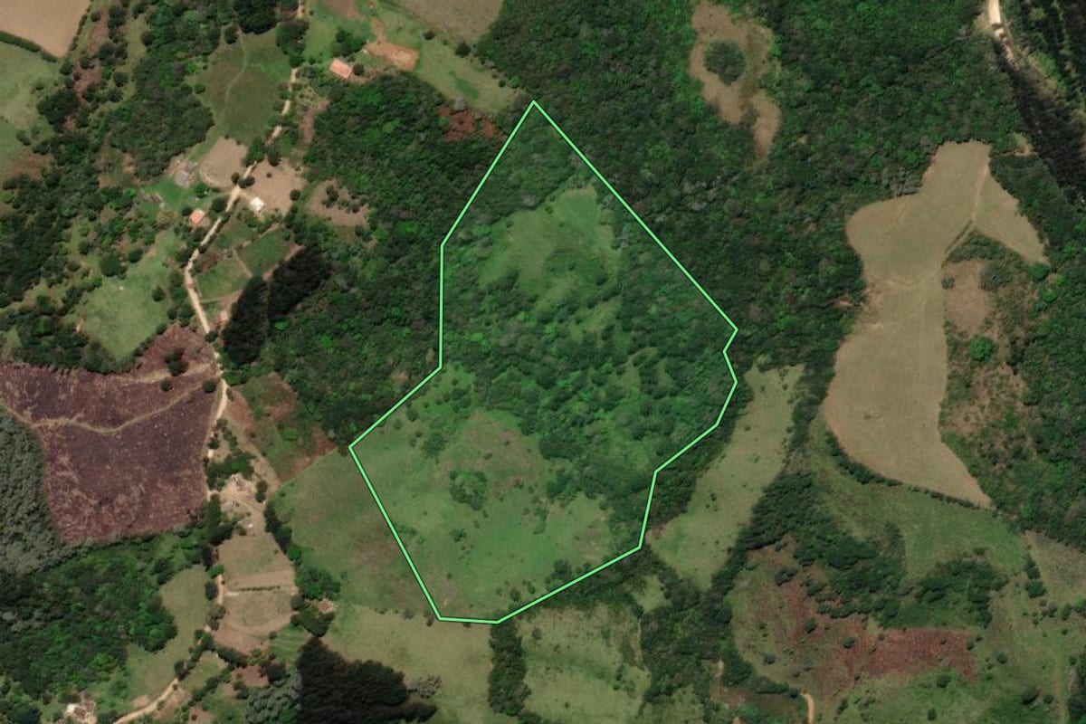 Imagem de satélite do imóvel rural em Castro (PR), com o contorno declarado no CAR desenhado por cima.