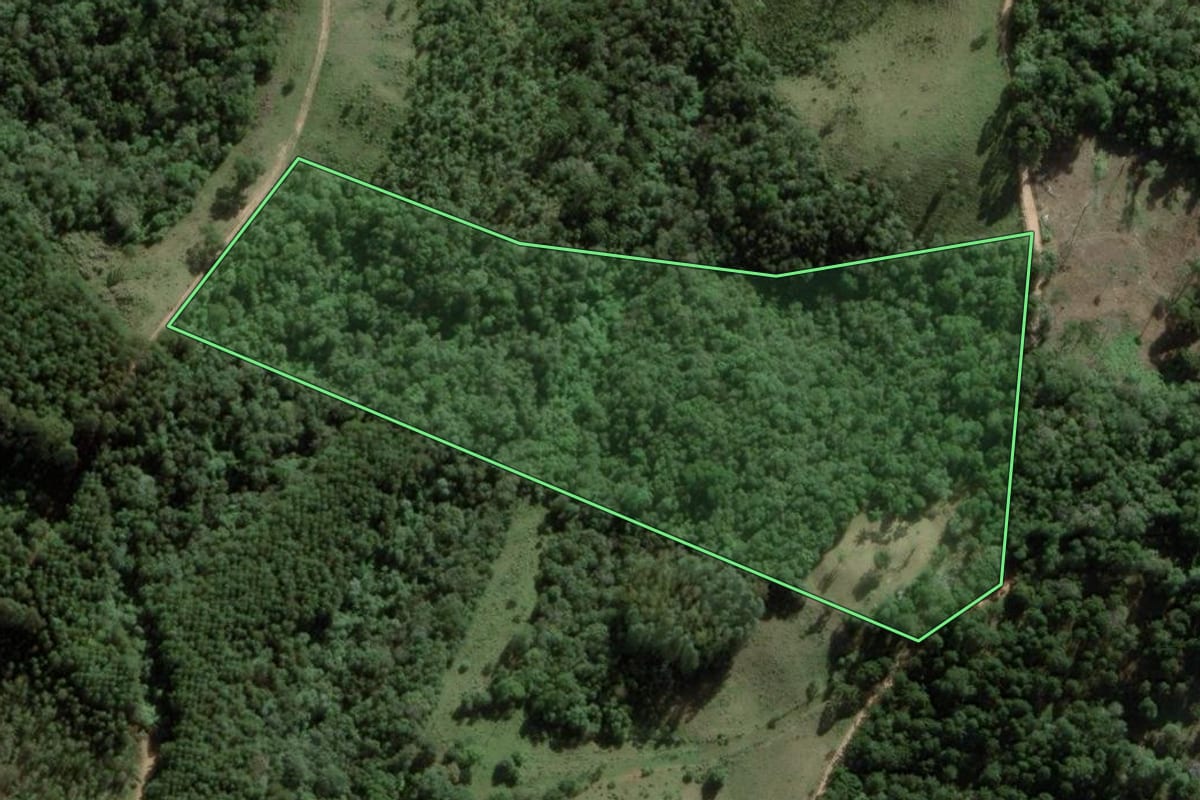Imagem de satélite do imóvel rural em Castro (PR), com o contorno declarado no CAR desenhado por cima.