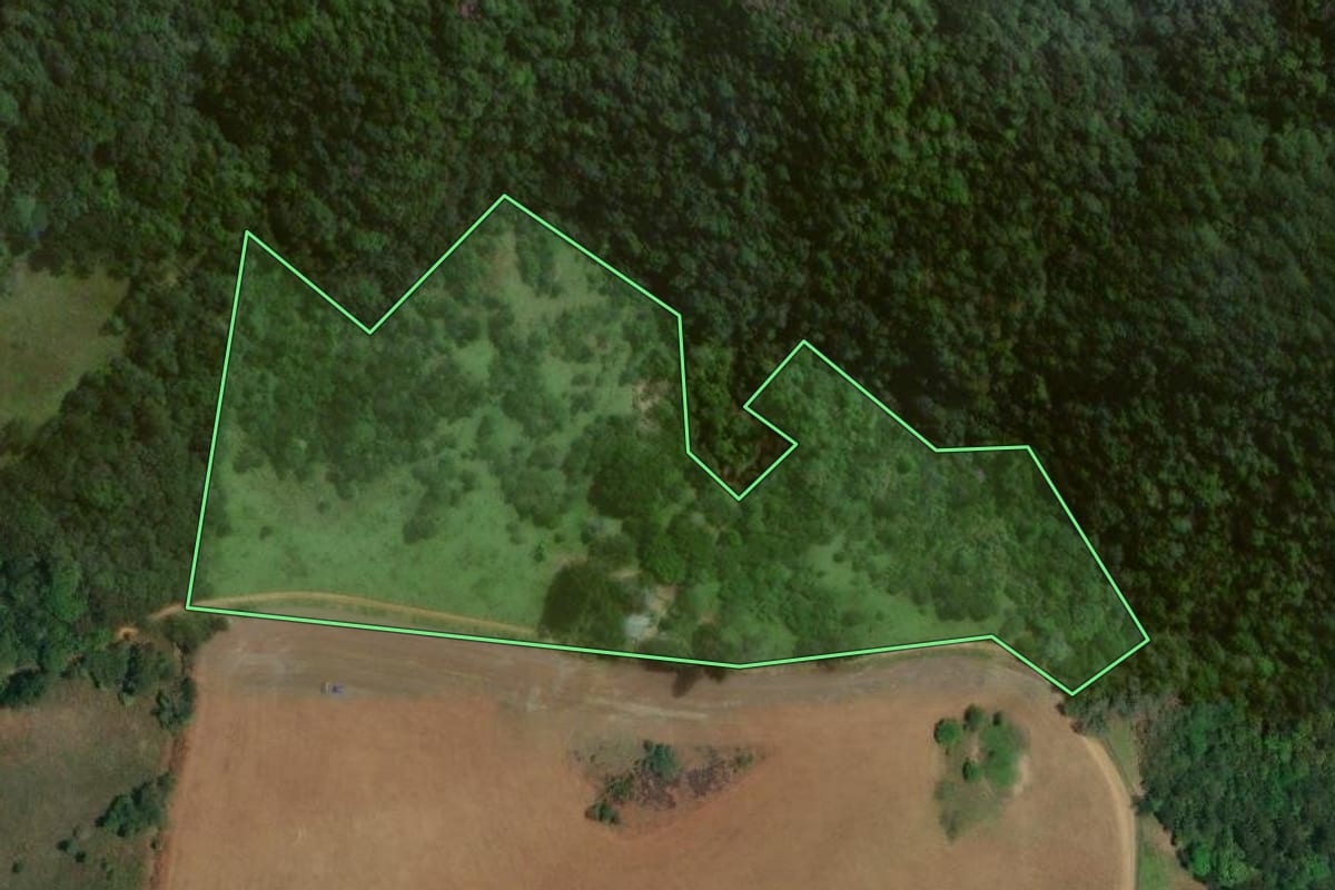 Imagem de satélite do imóvel rural em Castro (PR), com o contorno declarado no CAR desenhado por cima.