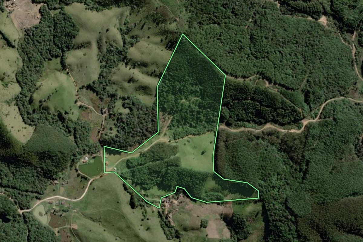 Imagem de satélite do imóvel rural em Castro (PR), com o contorno declarado no CAR desenhado por cima.