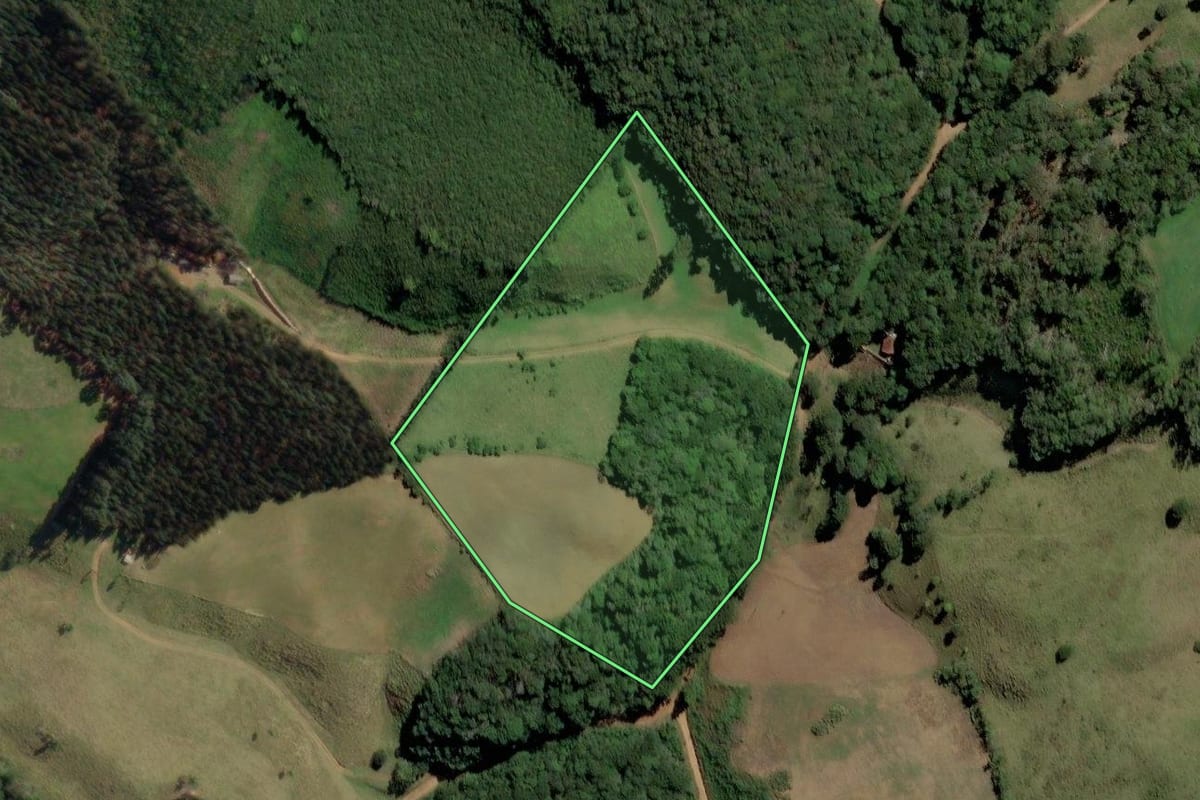 Imagem de satélite do imóvel rural em Castro (PR), com o contorno declarado no CAR desenhado por cima.