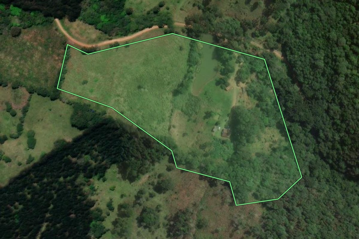 Imagem de satélite do imóvel rural em Castro (PR), com o contorno declarado no CAR desenhado por cima.