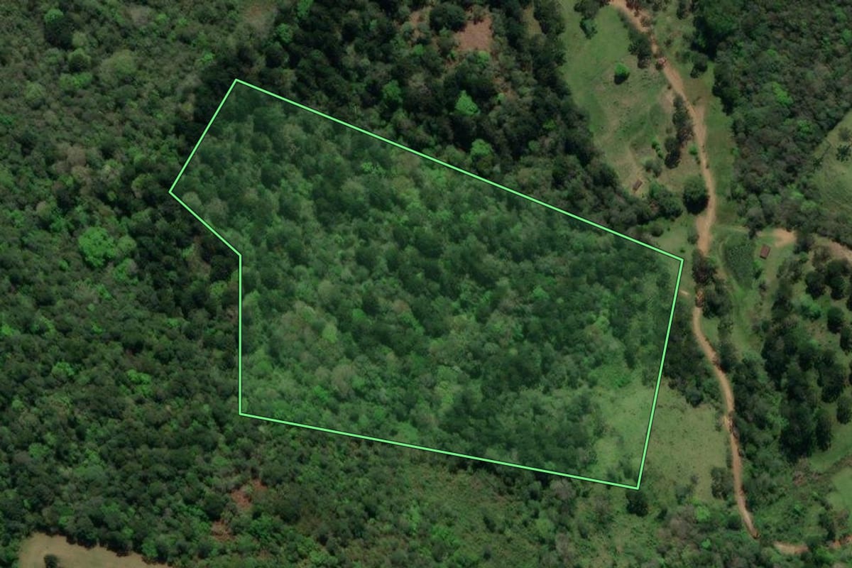 Imagem de satélite do imóvel rural em Castro (PR), com o contorno declarado no CAR desenhado por cima.