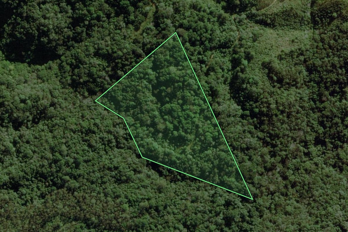 Imagem de satélite do imóvel rural em Castro (PR), com o contorno declarado no CAR desenhado por cima.