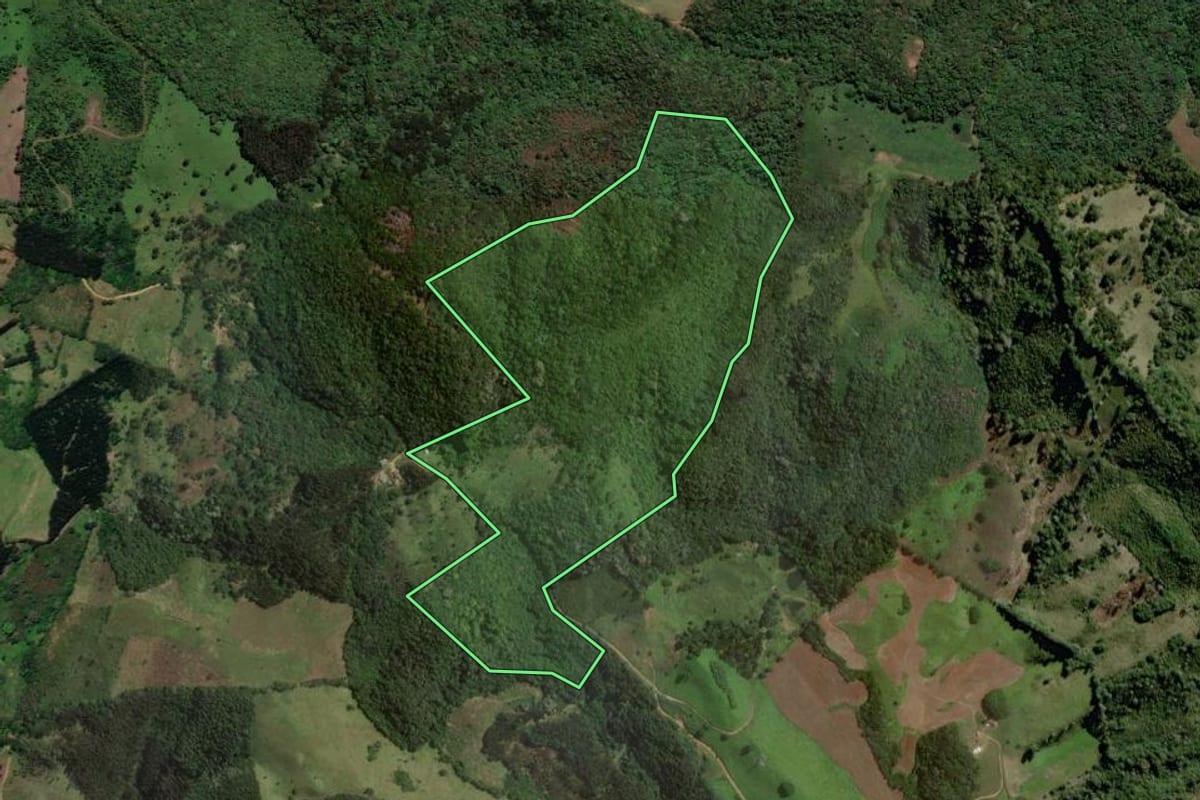 Imagem de satélite do imóvel rural em Castro (PR), com o contorno declarado no CAR desenhado por cima.