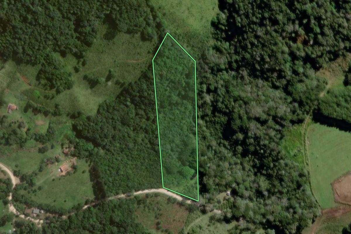 Imagem de satélite do imóvel rural em Castro (PR), com o contorno declarado no CAR desenhado por cima.