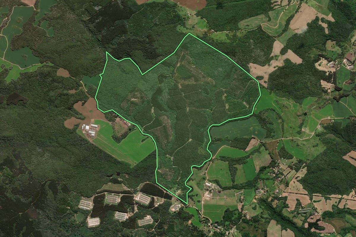 Imagem de satélite do imóvel rural em Castro (PR), com o contorno declarado no CAR desenhado por cima.