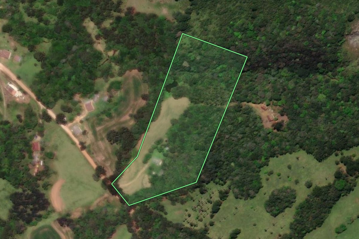 Imagem de satélite do imóvel rural em Castro (PR), com o contorno declarado no CAR desenhado por cima.