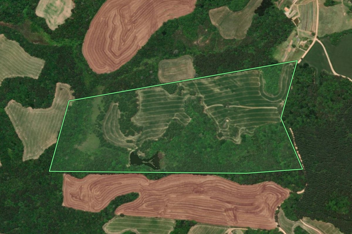 Imagem de satélite do imóvel rural em Castro (PR), com o contorno declarado no CAR desenhado por cima.