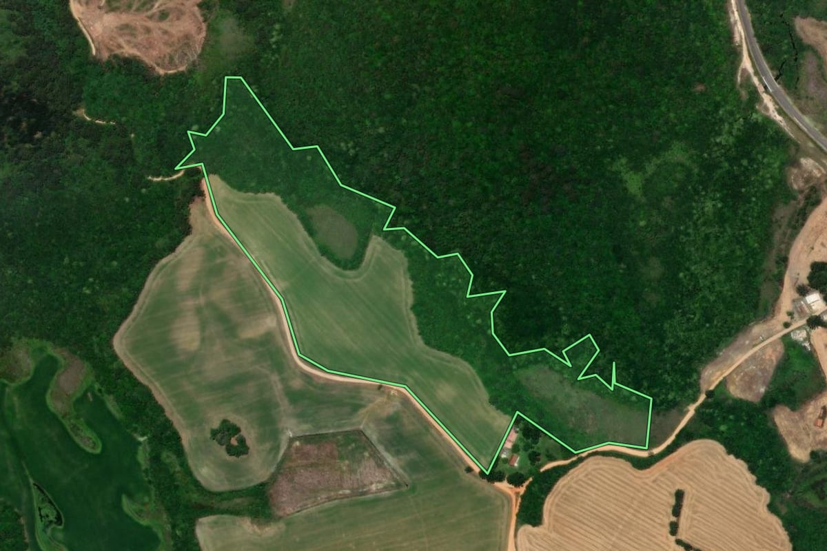 Imagem de satélite do imóvel rural em Castro (PR), com o contorno declarado no CAR desenhado por cima.