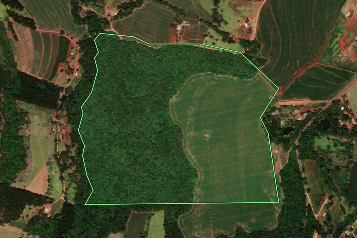 Imagem de satélite do imóvel rural em Catanduvas (PR), com o contorno declarado no CAR desenhado por cima.