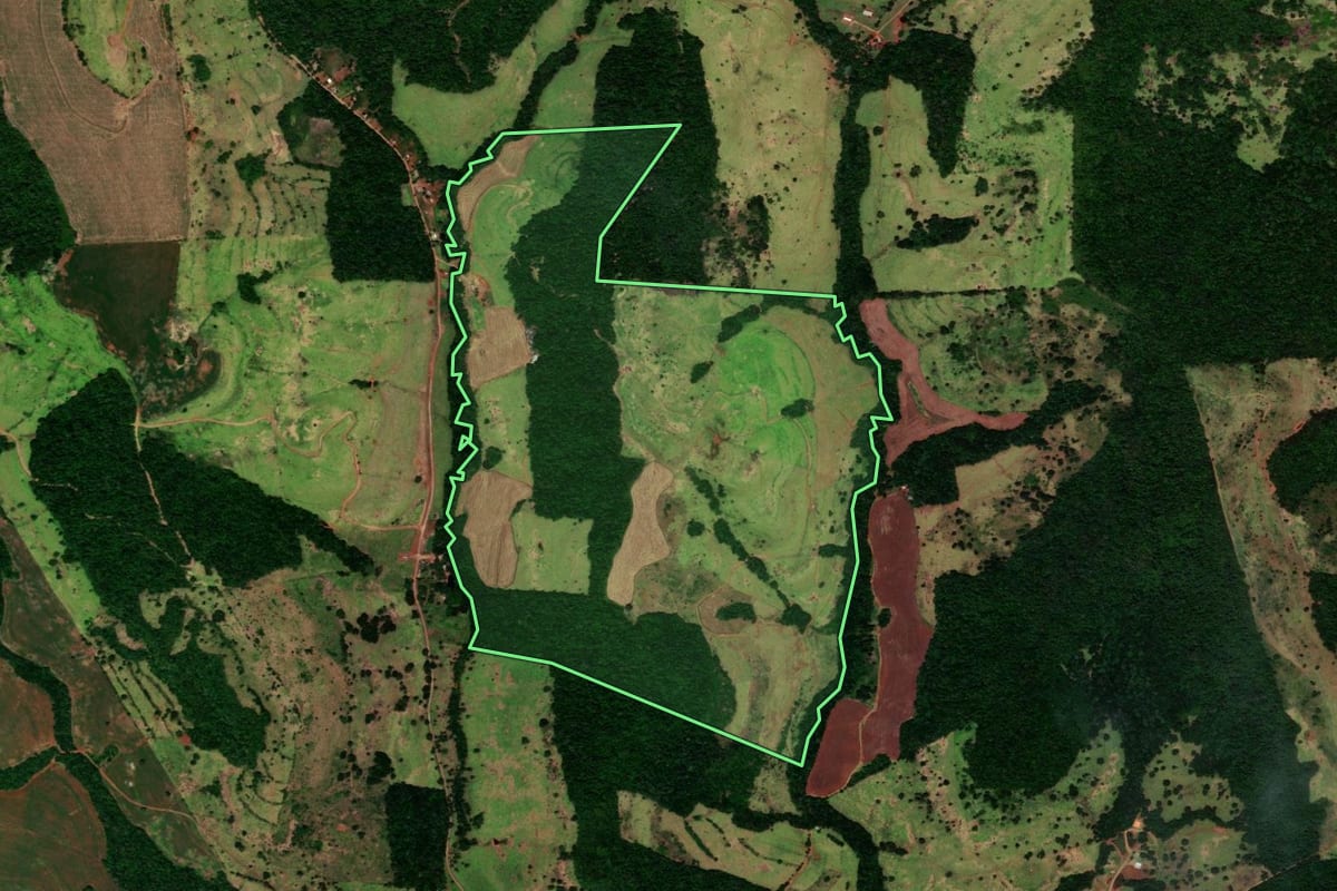 Imagem de satélite do imóvel rural em Catanduvas (PR), com o contorno declarado no CAR desenhado por cima.