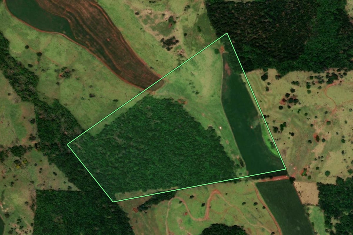 Imagem de satélite do imóvel rural em Catanduvas (PR), com o contorno declarado no CAR desenhado por cima.