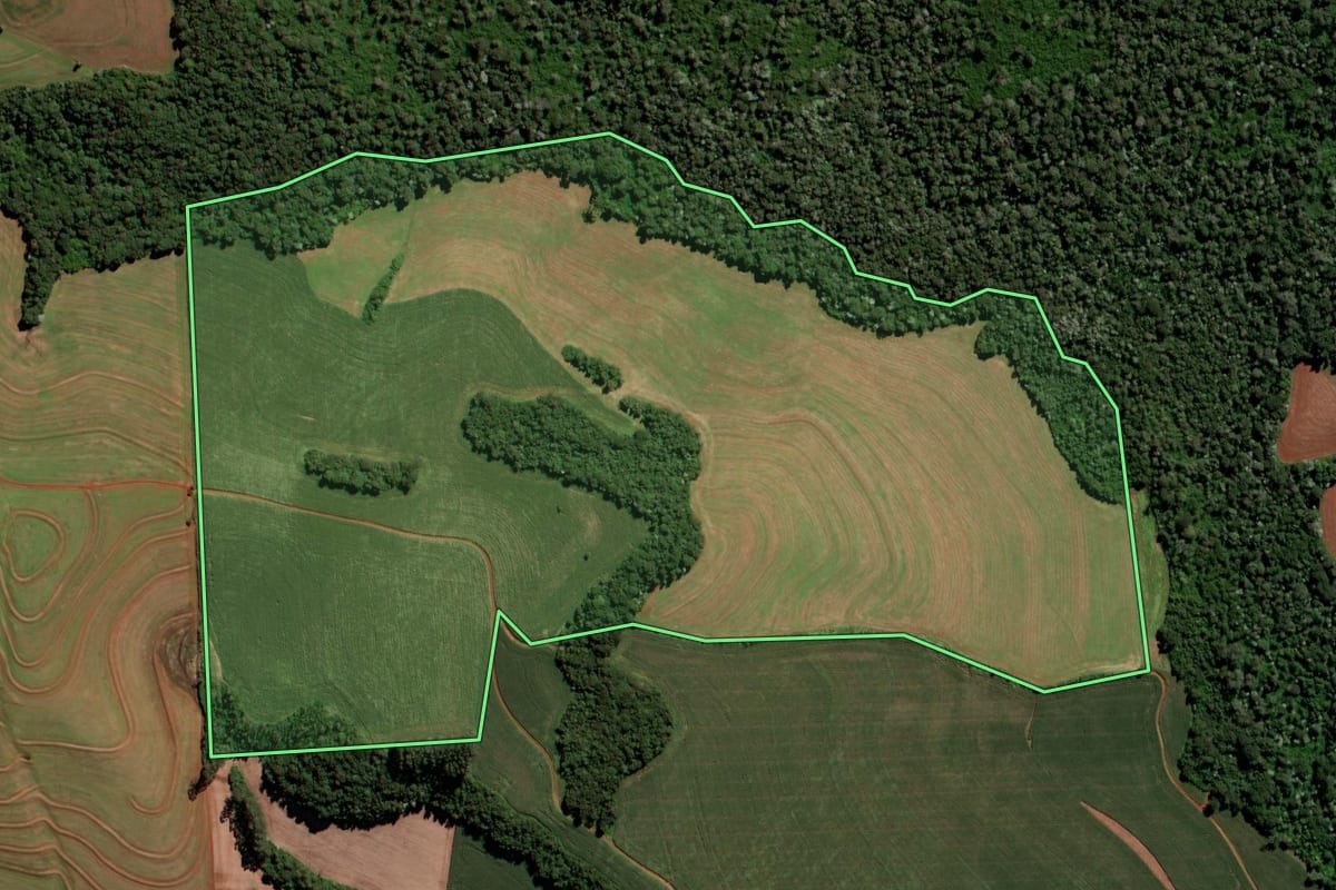 Imagem de satélite do imóvel rural em Catanduvas (PR), com o contorno declarado no CAR desenhado por cima.