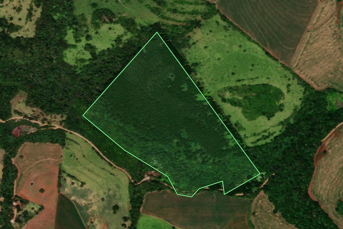 Imagem de satélite do imóvel rural em Catanduvas (PR), com o contorno declarado no CAR desenhado por cima.