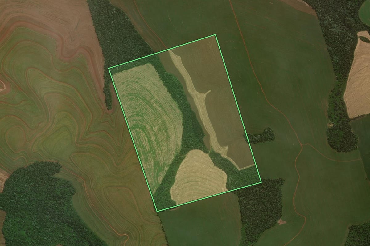 Imagem de satélite do imóvel rural em Catanduvas (PR), com o contorno declarado no CAR desenhado por cima.