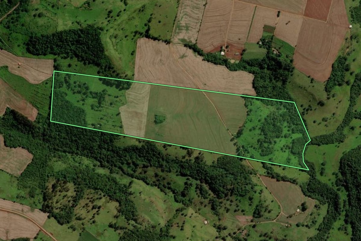 Imagem de satélite do imóvel rural em Catanduvas (PR), com o contorno declarado no CAR desenhado por cima.
