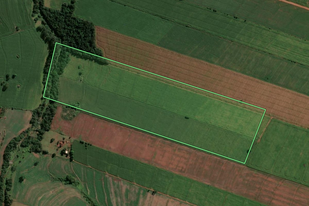 Imagem de satélite do imóvel rural em Centenário do Sul (PR), com o contorno declarado no CAR desenhado por cima.