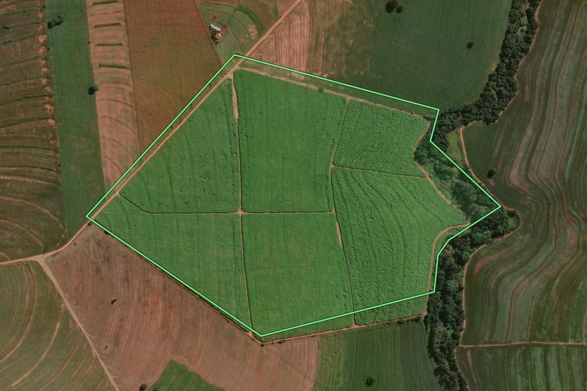 Imagem de satélite do imóvel rural em Centenário do Sul (PR), com o contorno declarado no CAR desenhado por cima.