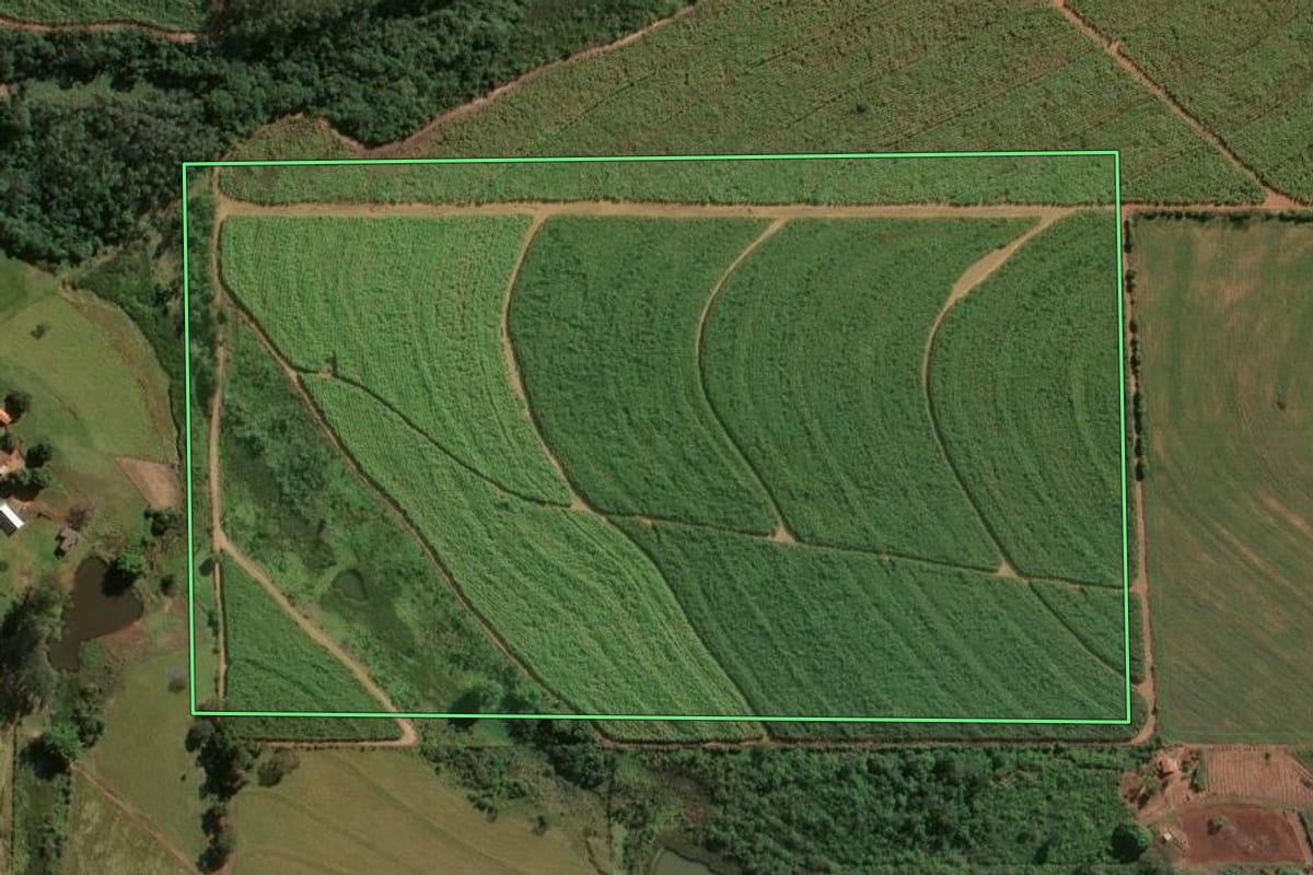 Imagem de satélite do imóvel rural em Centenário do Sul (PR), com o contorno declarado no CAR desenhado por cima.