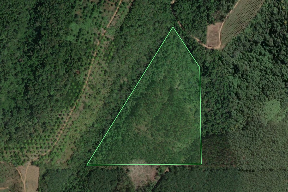 Imagem de satélite do imóvel rural em Cerro Azul (PR), com o contorno declarado no CAR desenhado por cima.