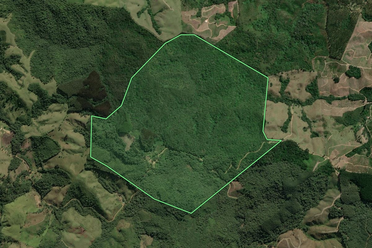 Imagem de satélite do imóvel rural em Cerro Azul (PR), com o contorno declarado no CAR desenhado por cima.