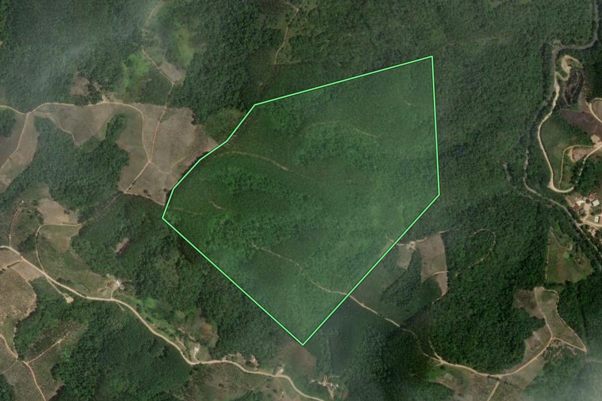 Imagem de satélite do imóvel rural em Cerro Azul (PR), com o contorno declarado no CAR desenhado por cima.