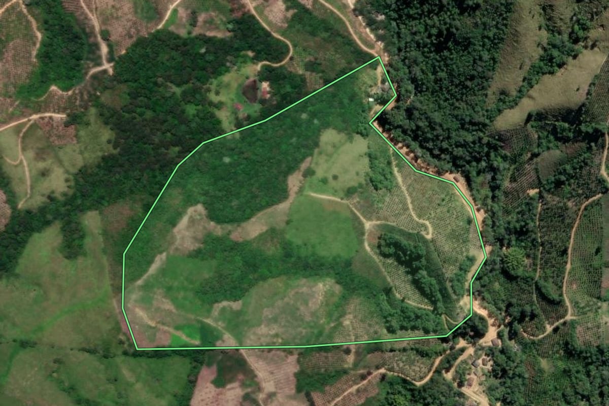 Imagem de satélite do imóvel rural em Cerro Azul (PR), com o contorno declarado no CAR desenhado por cima.
