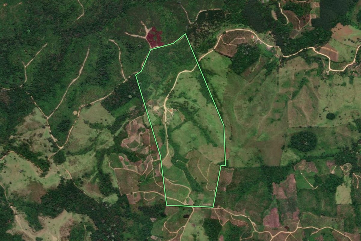 Imagem de satélite do imóvel rural em Cerro Azul (PR), com o contorno declarado no CAR desenhado por cima.