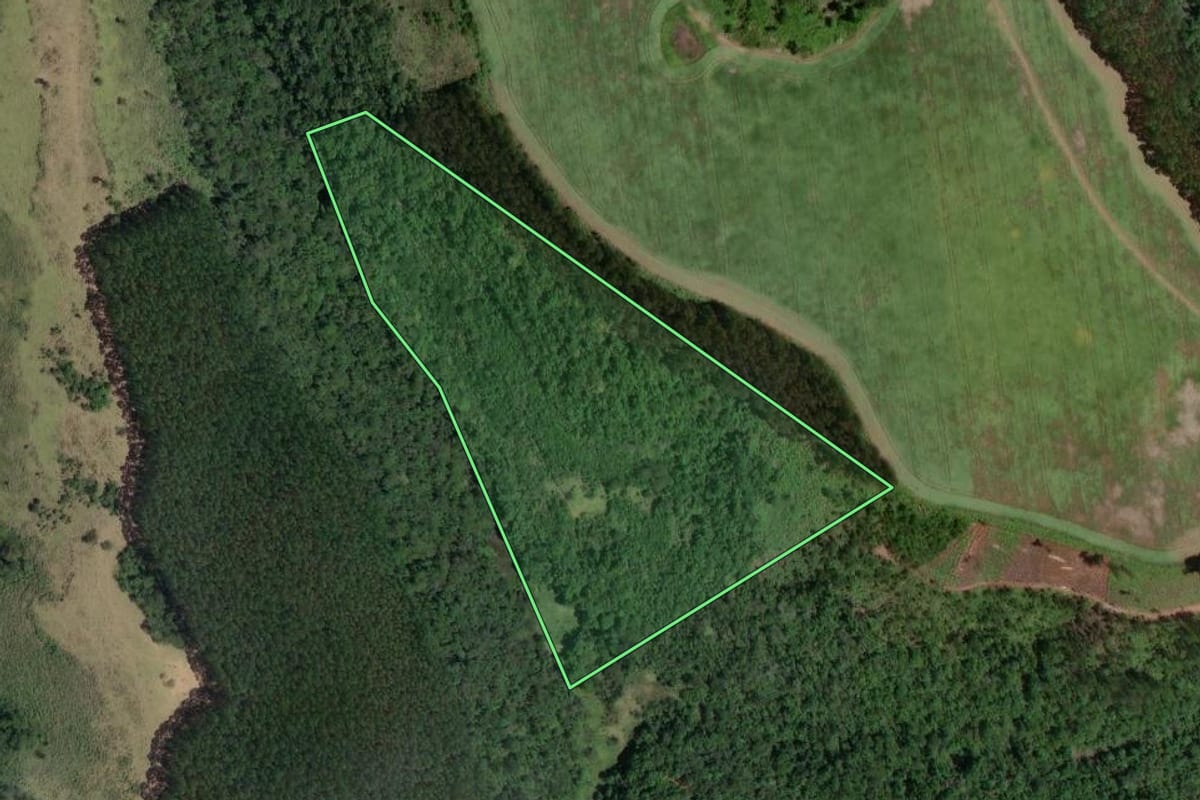 Imagem de satélite do imóvel rural em Cerro Azul (PR), com o contorno declarado no CAR desenhado por cima.