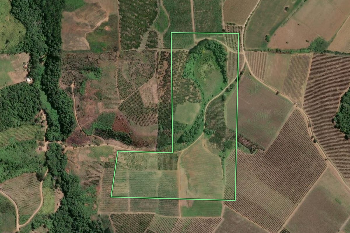 Imagem de satélite do imóvel rural em Cerro Azul (PR), com o contorno declarado no CAR desenhado por cima.