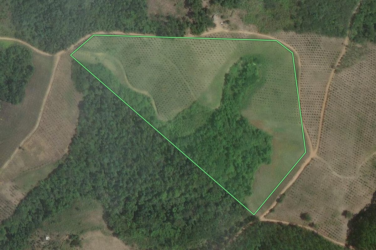 Imagem de satélite do imóvel rural em Cerro Azul (PR), com o contorno declarado no CAR desenhado por cima.