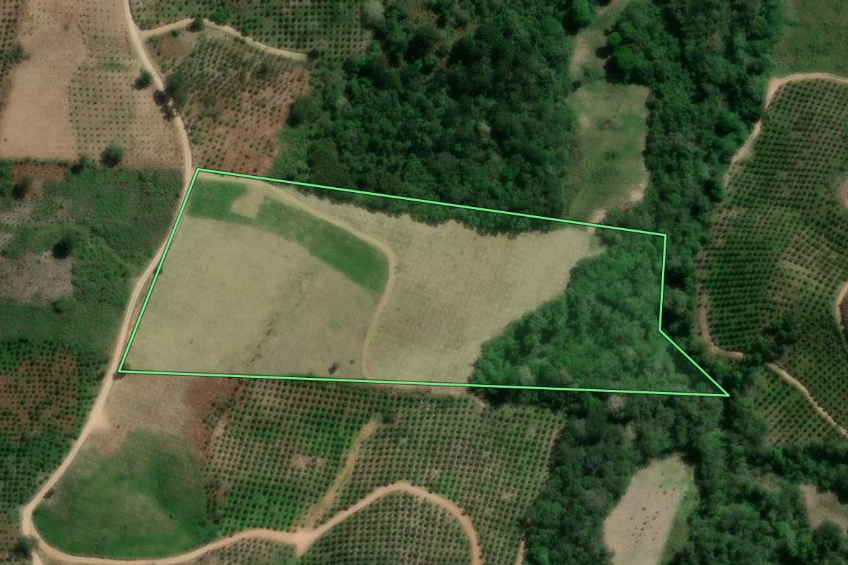 Imagem de satélite do imóvel rural em Cerro Azul (PR), com o contorno declarado no CAR desenhado por cima.
