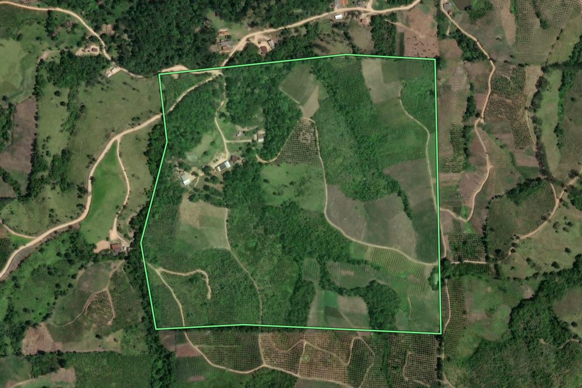 Imagem de satélite do imóvel rural em Cerro Azul (PR), com o contorno declarado no CAR desenhado por cima.