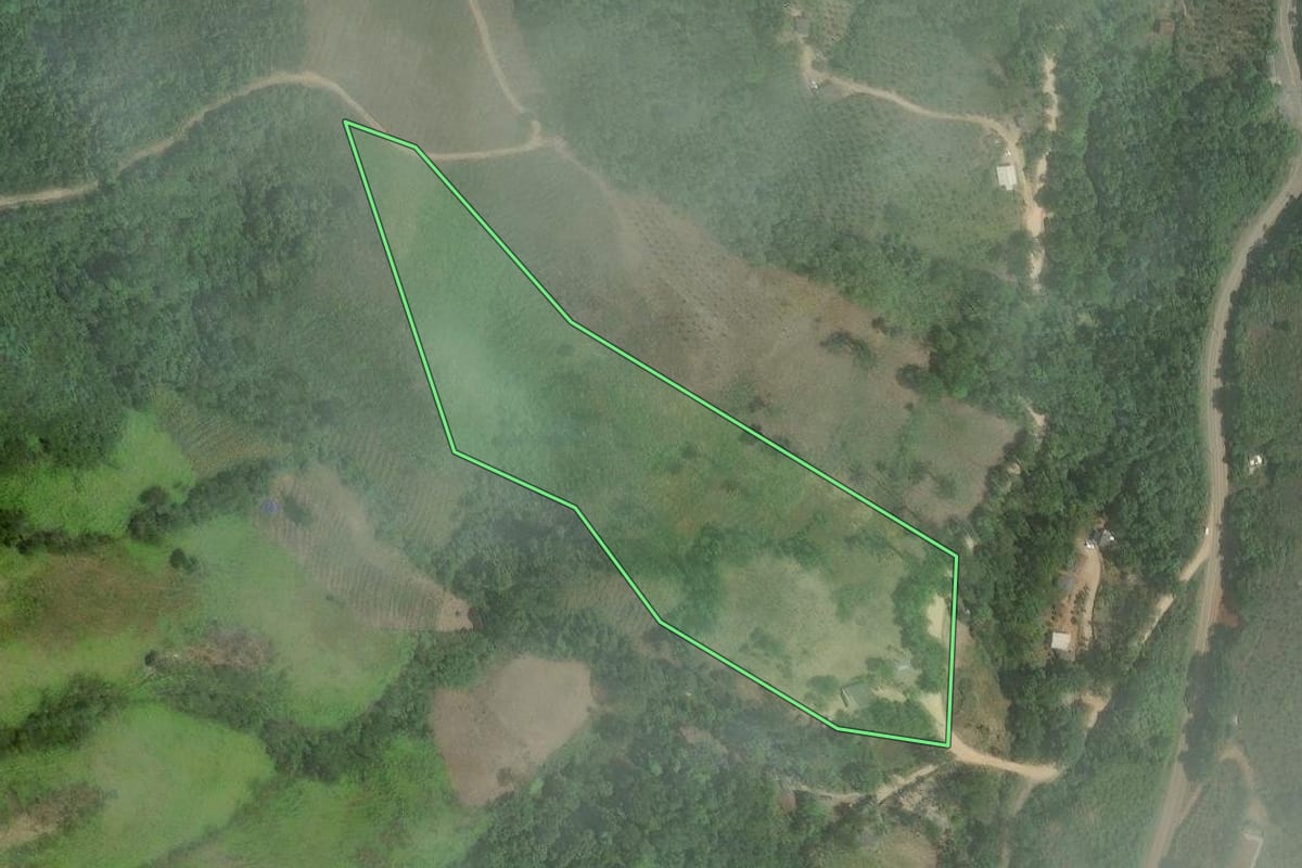 Imagem de satélite do imóvel rural em Cerro Azul (PR), com o contorno declarado no CAR desenhado por cima.